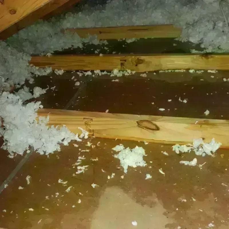 Attic Water Damage in Napa, CA