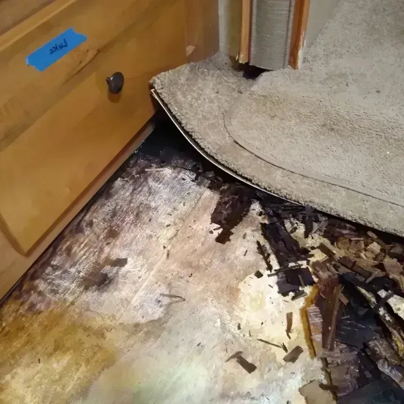 Best Wood Floor Water Damage Service in Napa, CA